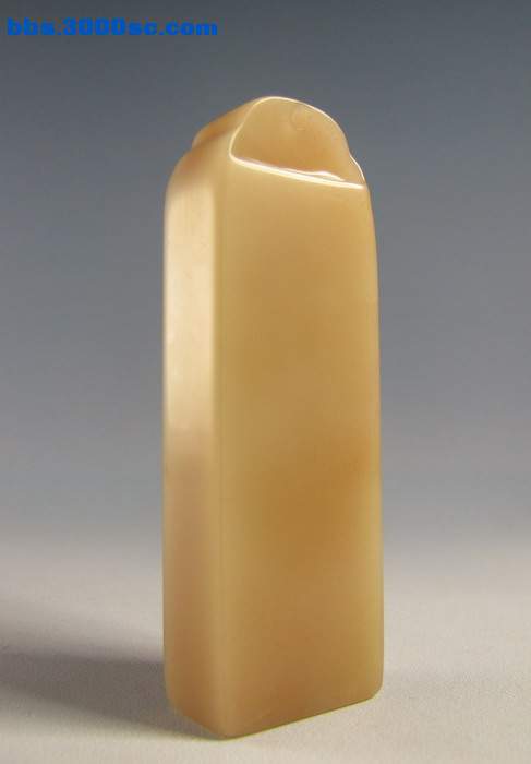 粉芙蓉 (1).jpg