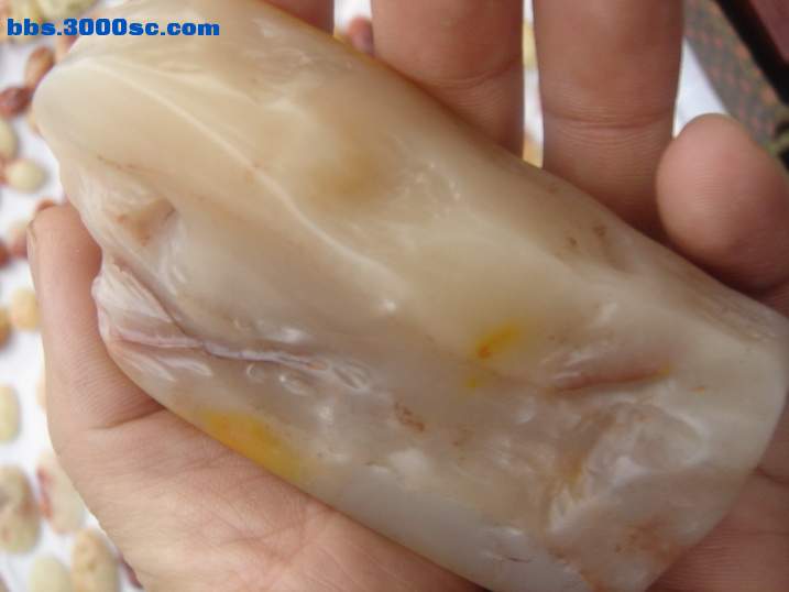 DSC05341_调整大小.JPG