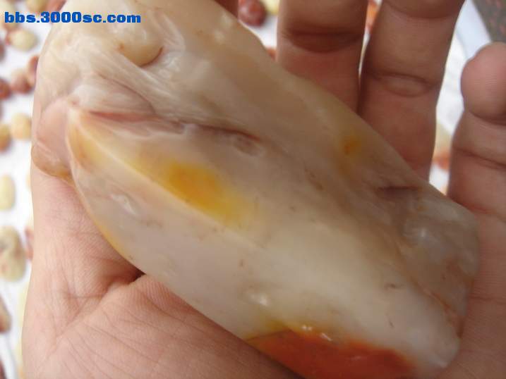 DSC05340_调整大小.JPG