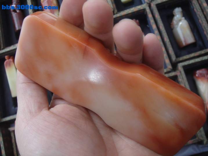 DSC05344_调整大小.JPG