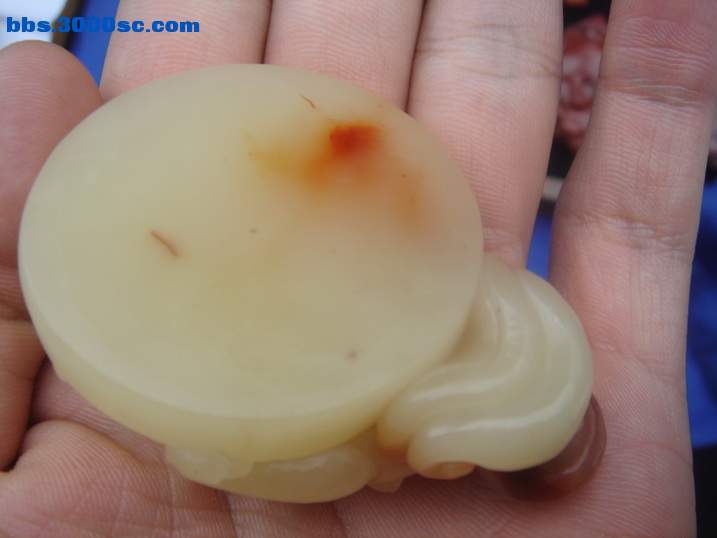 DSC05358_调整大小.JPG