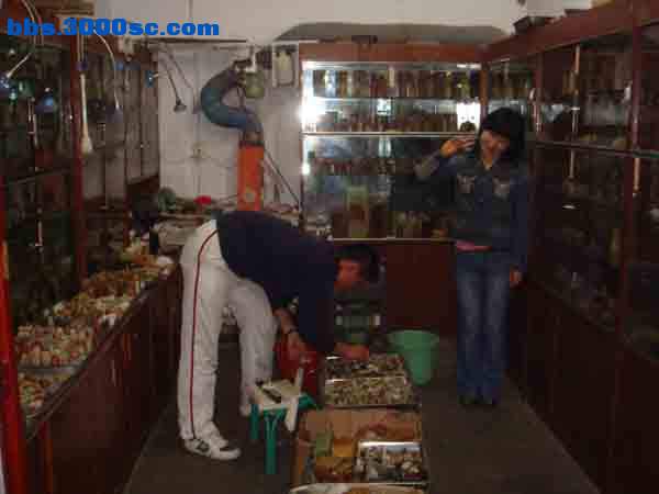 DSC01307.JPG