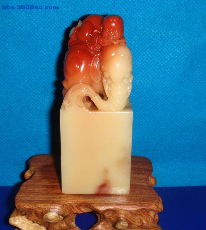 DSC01753.JPG