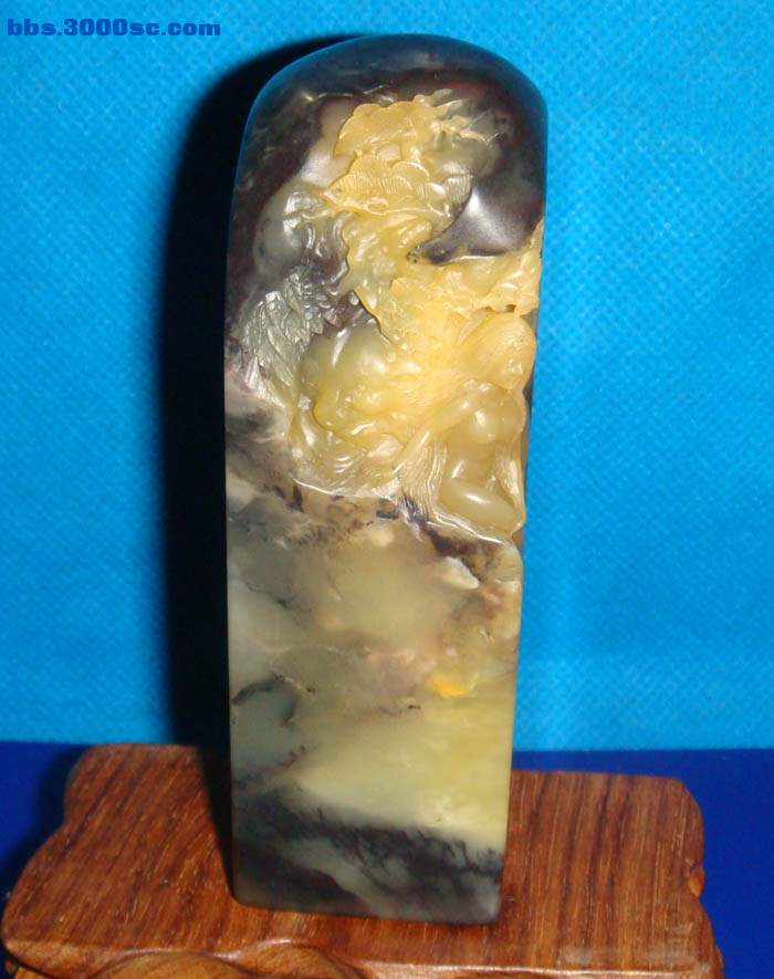 DSC01770.JPG