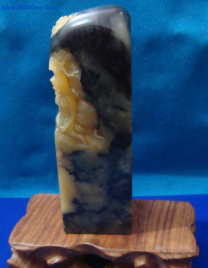 DSC01774.JPG