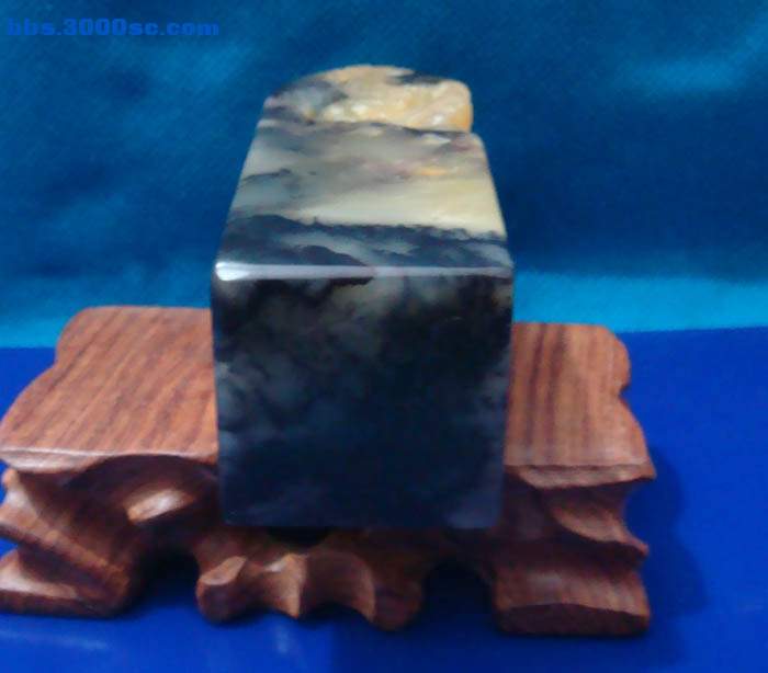 DSC01777.JPG