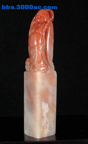 5.JPG