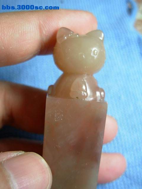 调整大小 DSCN5947.JPG