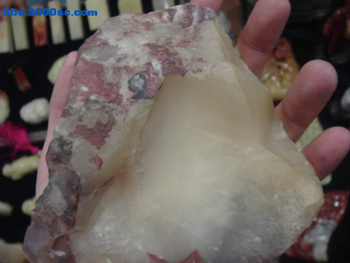 DSC05282_调整大小.JPG