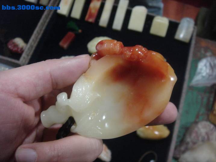 DSC05286_调整大小.JPG
