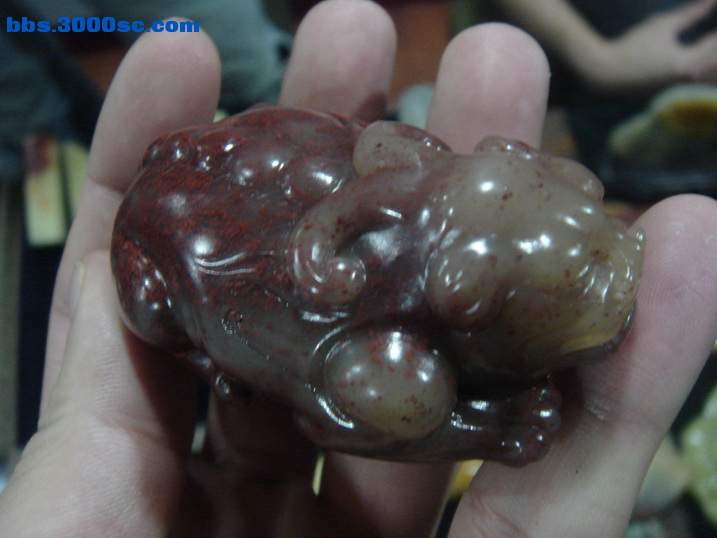 DSC05284_调整大小.JPG