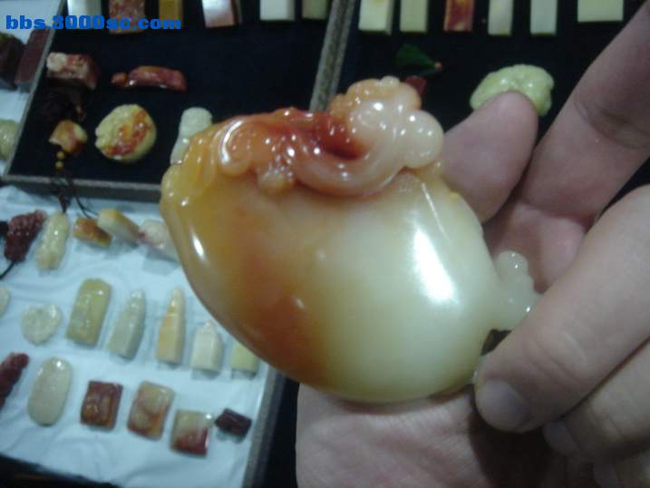 DSC05287_调整大小.JPG