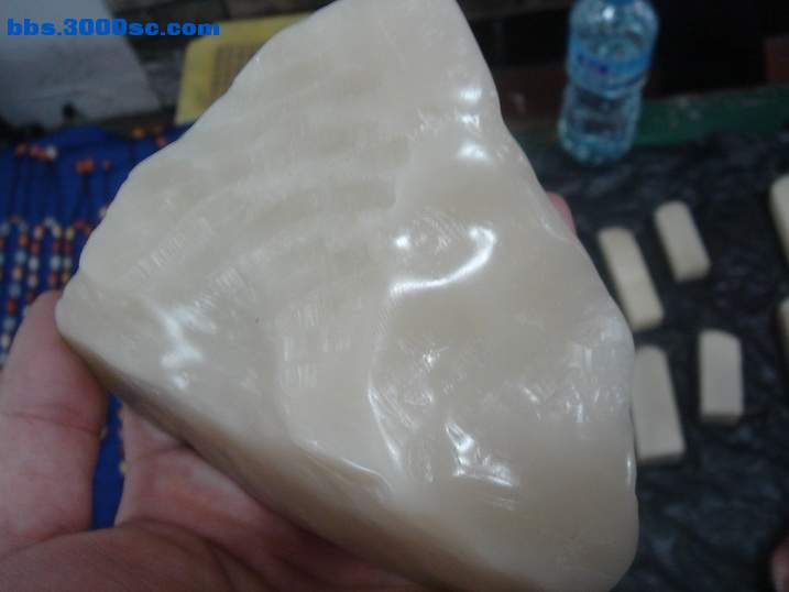 DSC05289_调整大小.JPG