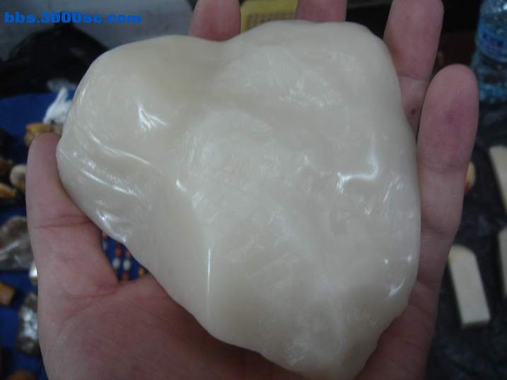 DSC05288_调整大小.JPG