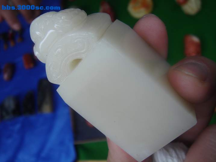 DSC05366_调整大小.JPG