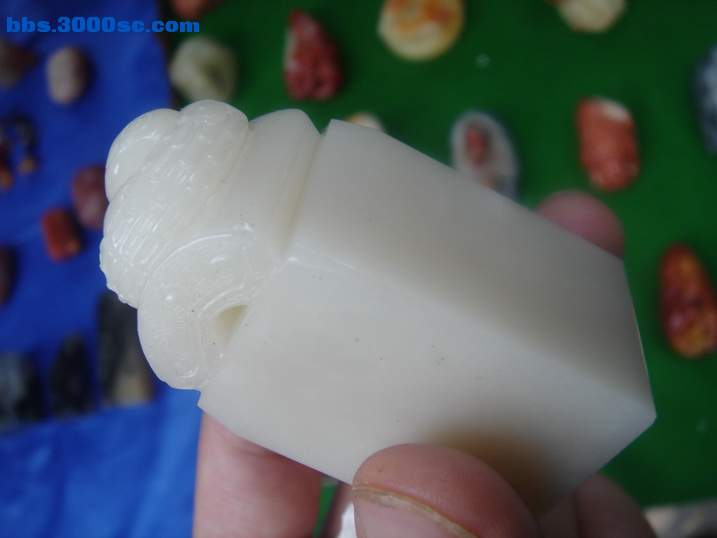 DSC05367_调整大小.JPG