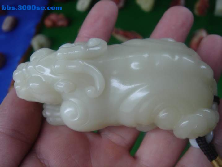 DSC05368_调整大小.JPG