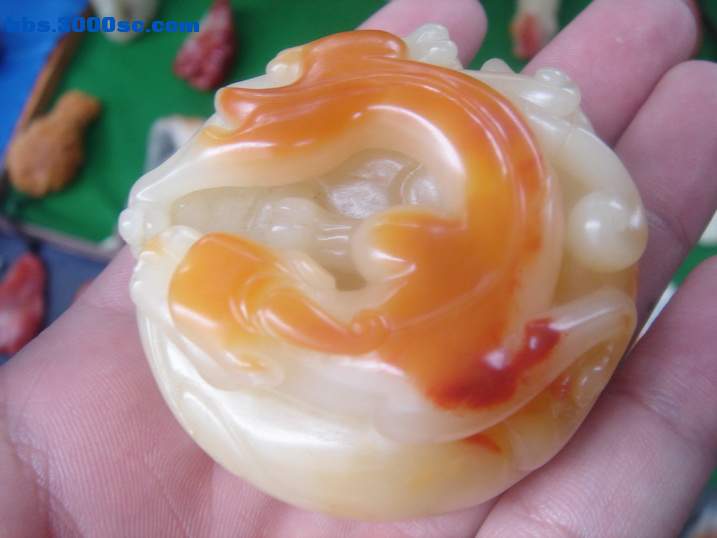DSC05370_调整大小.JPG
