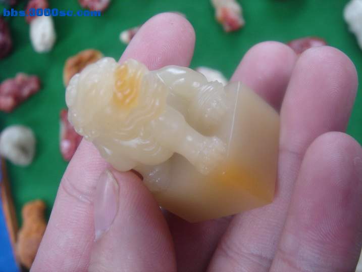 DSC05373_调整大小.JPG