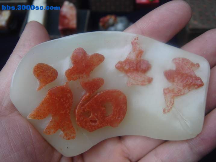 DSC05375_调整大小.JPG