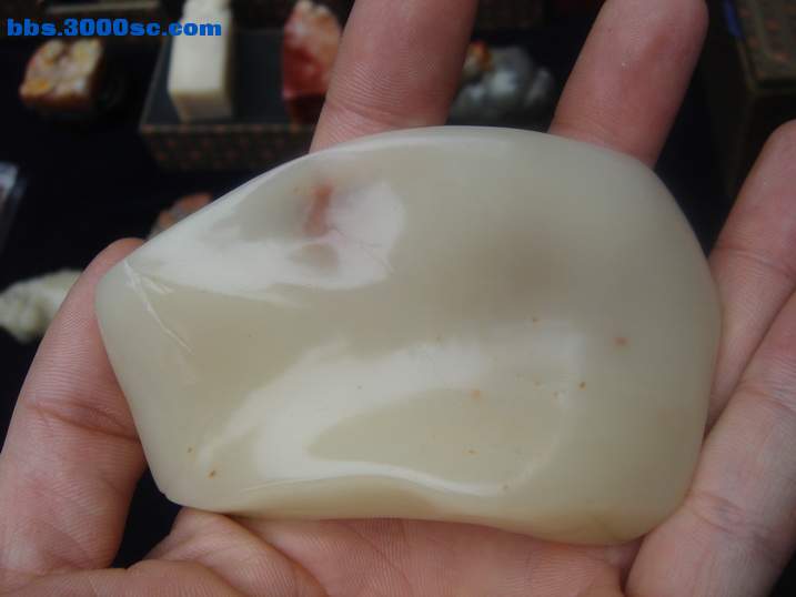 DSC05376_调整大小.JPG