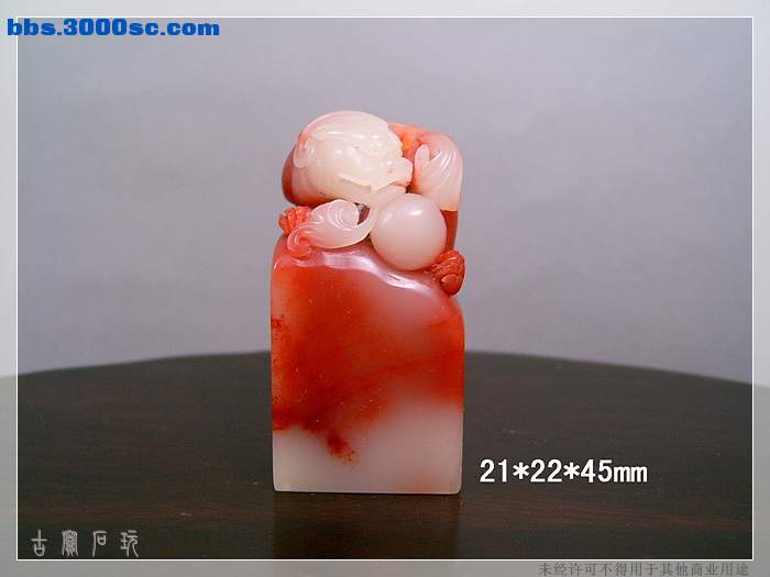 SUC34388.jpg