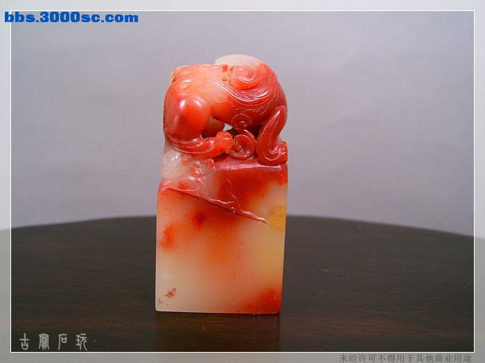 SUC34390.jpg