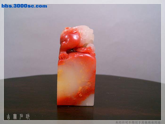 SUC34389.jpg