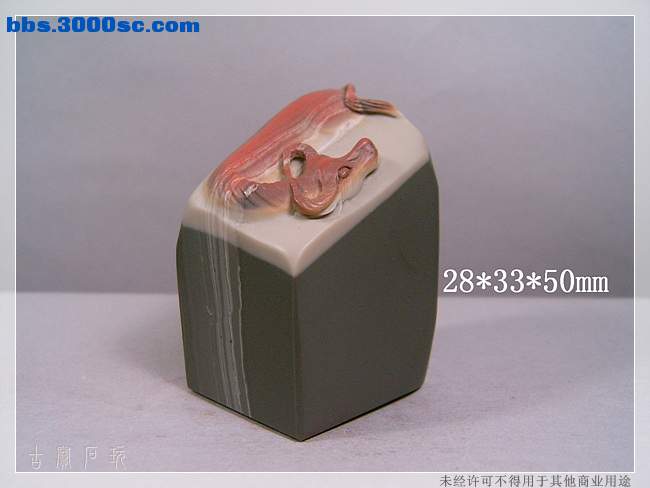 SUC33867.jpg