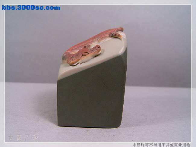 SUC33868.jpg