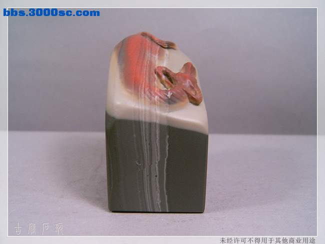 SUC33869.jpg