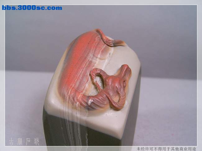 SUC33873.jpg