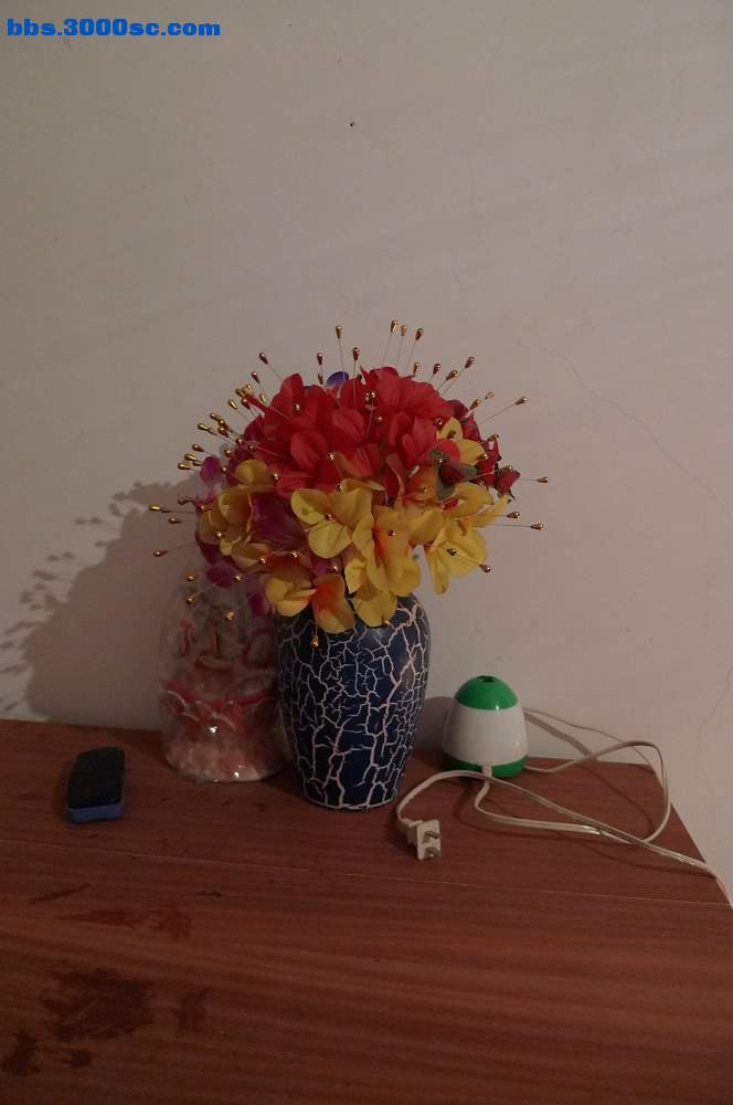 P1020010.JPG
