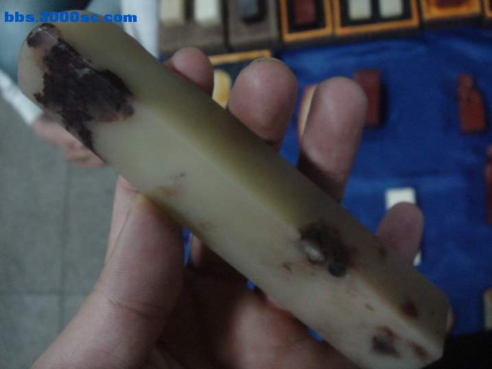 DSC05304_调整大小.JPG