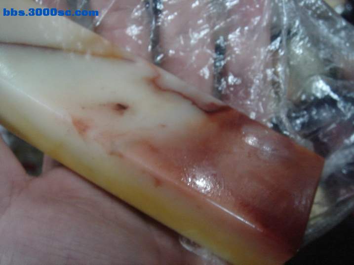 DSC05311_调整大小.JPG