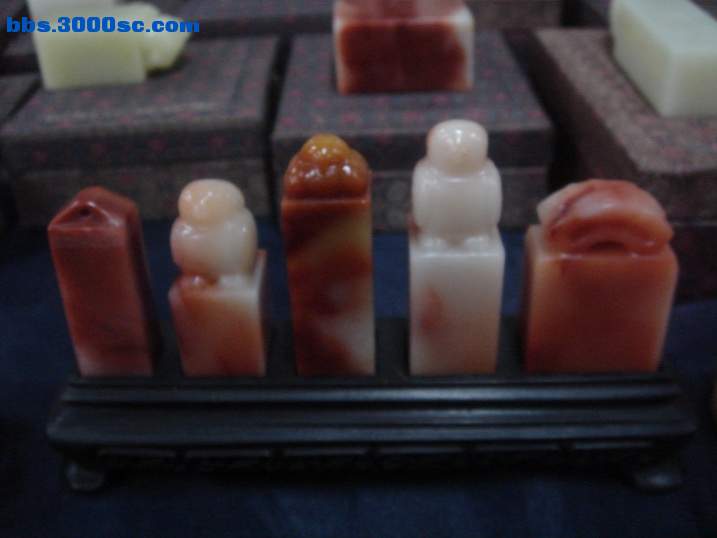 DSC05312_调整大小.JPG
