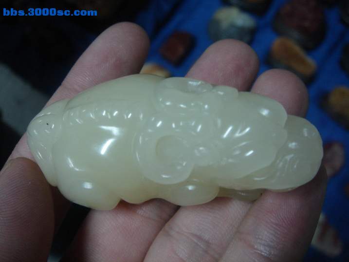 DSC05313_调整大小.JPG