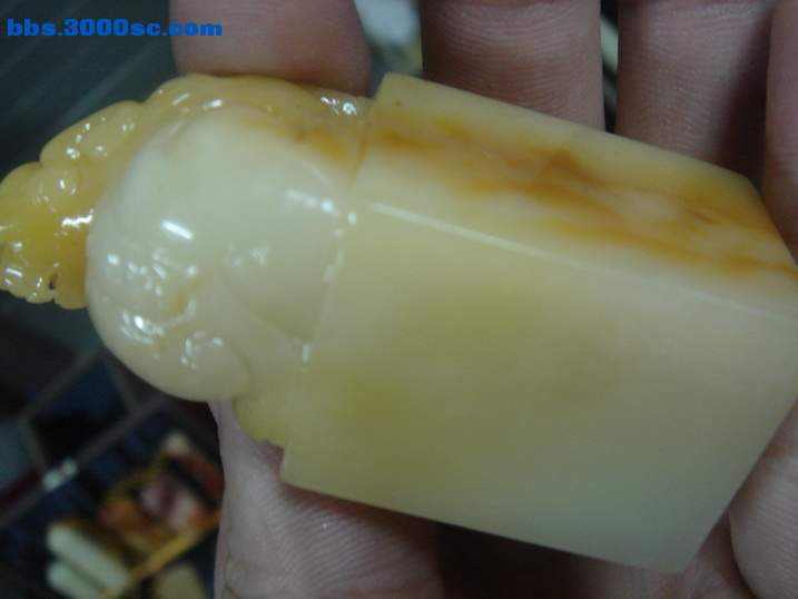DSC05318_调整大小.JPG