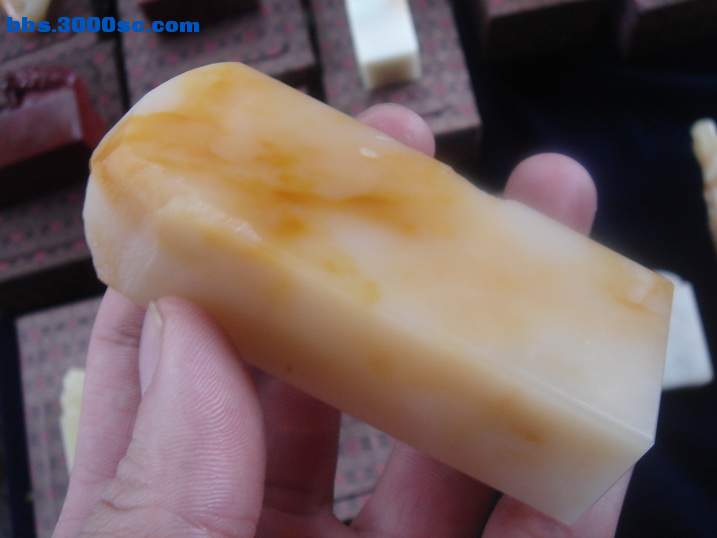 DSC05380_调整大小.JPG