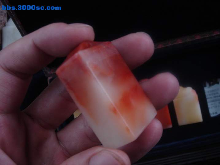 DSC05385_调整大小.JPG