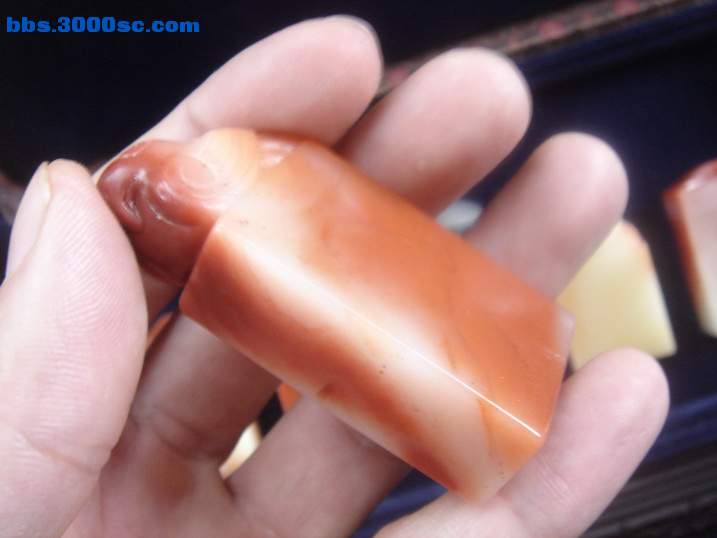 DSC05387_调整大小.JPG