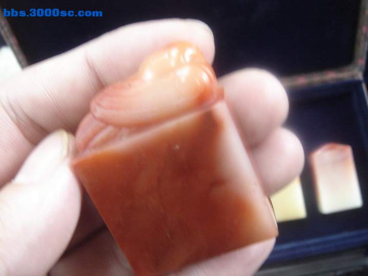 DSC05388_调整大小.JPG