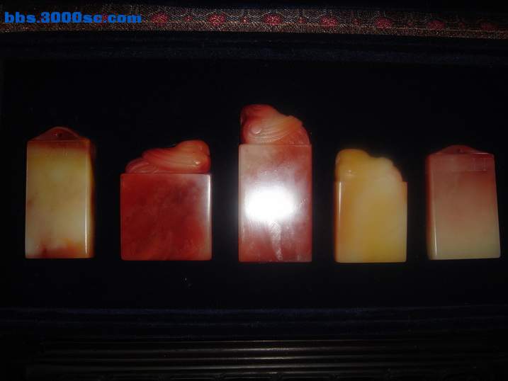 DSC05390_调整大小.JPG