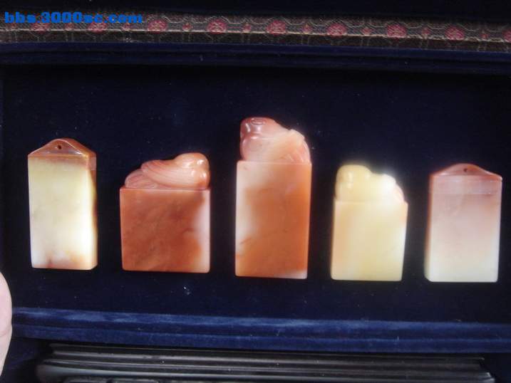 DSC05389_调整大小.JPG