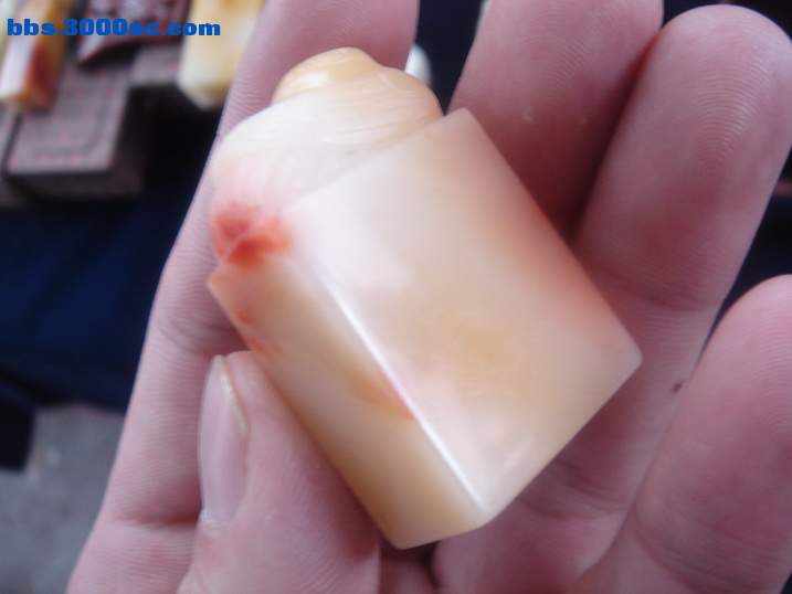 DSC05391_调整大小.JPG