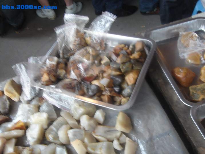 DSC05395_调整大小.JPG