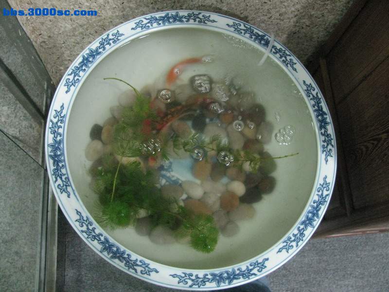随缘 (8).jpg