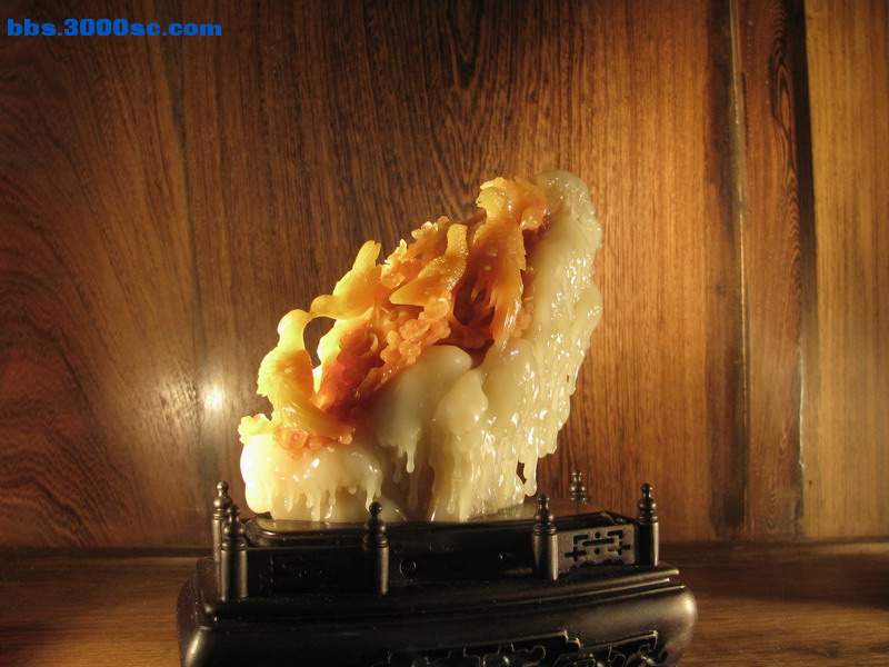 随缘 (13).jpg