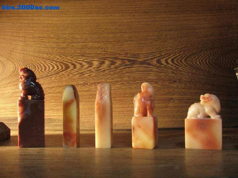 随缘 (20).jpg