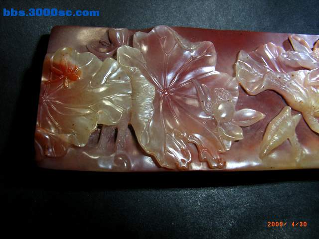 RIMG4032 拷贝.jpg